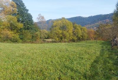 Spre vanzare teren 3662 mp in Campulung Moldovenesc - 9