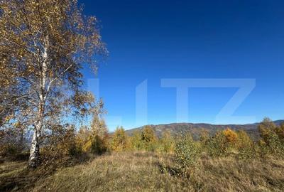 Teren de 17183 mp, în Central - 2