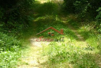 Teren de 643 mp, în Cornu - 1