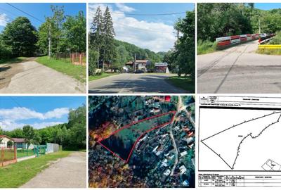 VANZARE teren intravilan 6011mp Mislea Scorteni Prahova Telega Prahova utilitati - 10