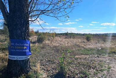 TEREN INTRAVILAN ȘI EXTRAVILAN BAIA DE FIER - 2