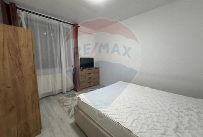 Apartament cu 3 camere semidecomandat în Valea Rosie - 7