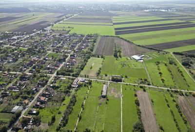 Hala de 430 mp ?i teren intravilan 2.5 ha Macea - 7