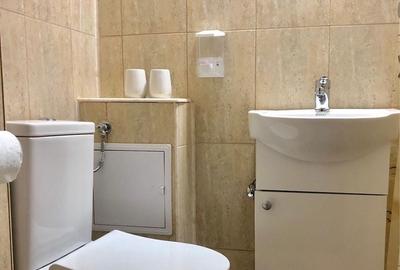 Garsonieră semidecomandată în Ultracentral - 5