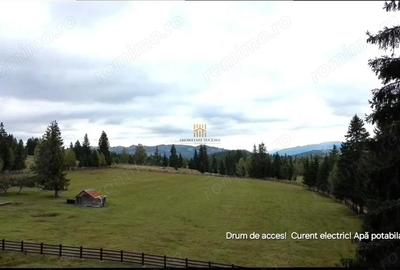 Teren de 16813 mp, în Fundu Moldovei - 4
