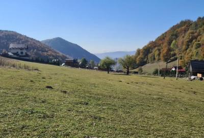 Casă cu 7 camere cu Teren 2000 Mp în Dâmbovicioara - 8