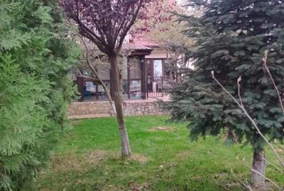 Casă cu 3 camere cu Teren 786 Mp în Domnești - 17