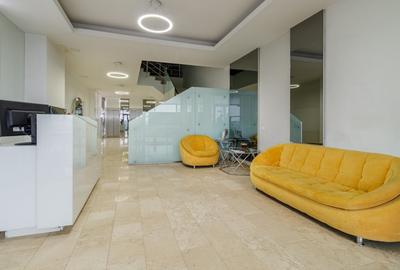 Studio spatios 50mp Pipera Voluntari - My Dream Residence - 7