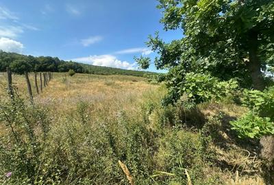 Teren intravilan de 576 mp de vanzare pe drumul DC59 , Haieu - Bihor - 3