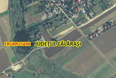Teren de 12600 mp, în Frumușani