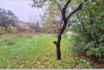 Casa de inchiriat in Techirghiol foarte aproape de centru - 4