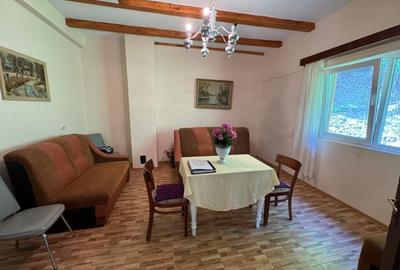 Casa de vanzare, 5 cam., 200 mp. + 5000 mp. teren, Valea Ariesului - 3