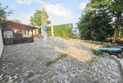 Casă + Afacere + Relaxare = Investiția Perfectă, in Cioranii de Jos - 42