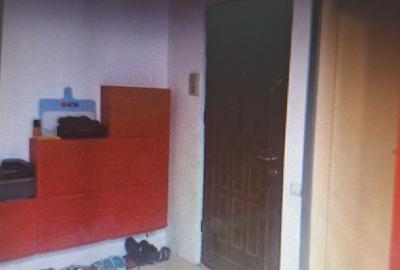 Apartament cu 2 camere decomandat în Baba-Dochia - 3