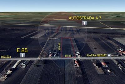 Teren Construcții intravilan de 19100 mp, în Secuienii Noi - 1