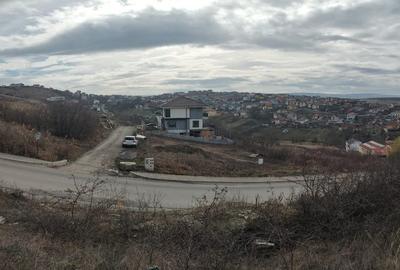 Teren intravilan 479mp in Dezmir - 10