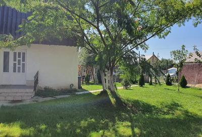 Casă cu 5 camere cu Teren 990 Mp în Sânmihaiu Român - 5