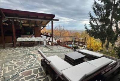 Casă cu 4 camere cu Teren 1527 Mp în Tăuții de Sus - 3