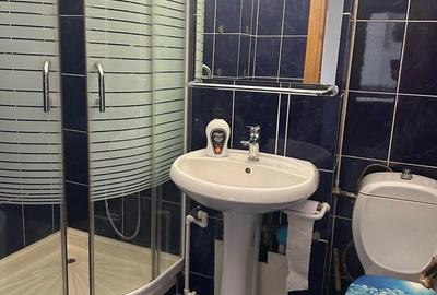 Apartament cu 3 camere decomandat în Siloz - 3