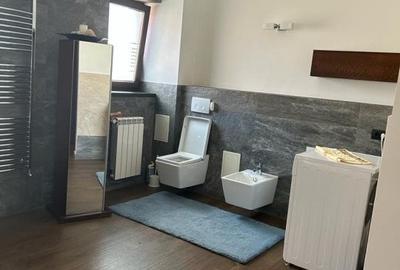 Casa/Vila Trivale - Câmpului, finisaje deosebite, mobilata, teren 1.090mp - 24