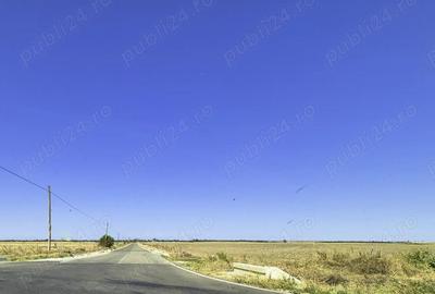 Teren Industrial 12 hectare Teiu Arges - 2