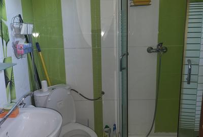 Apartament 2 camere, la 15 min de Piata Victoriei, 600 Euro/luna - 9