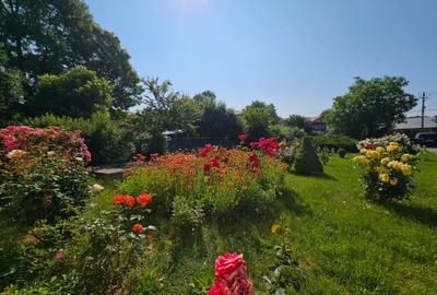 Vanzare -Vilă spațioasă cu aer de vacanță – Puchenii Mari-Moara/langa PLOIESTI - 3