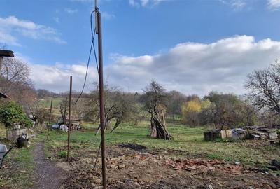 RECO Teren intravilan in Borod, Bihor 1750mp - 12