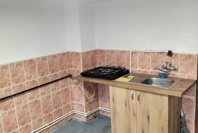 Casă cu 3 camere cu Teren 300 Mp în Cantemir - 8