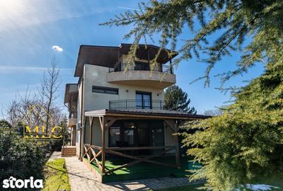 Casă cu 7 camere cu Teren 1935 Mp în Gruiu - 5