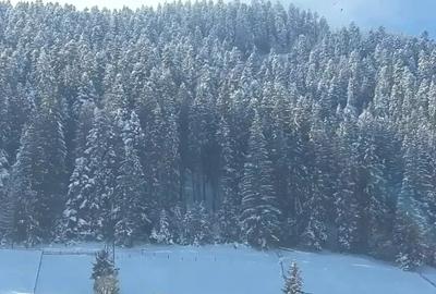 Vand casa la munte in Campulung Moldovenesc - 5