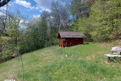 Casă cu 4 camere cu Garaj în Valea Ursului - 8