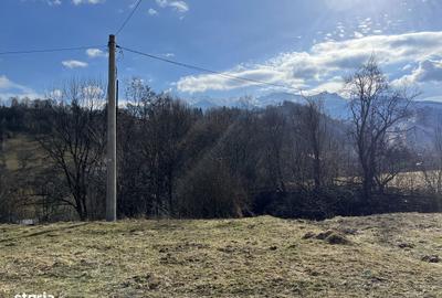 Teren de 2881 mp, în Bran - 8