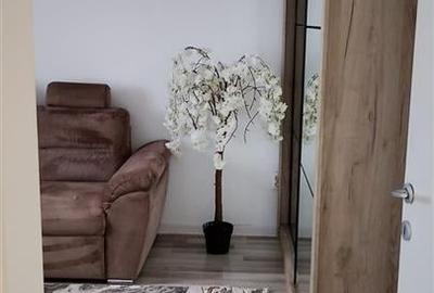 Apartament 1 camera Lunca Cetatuii - 6