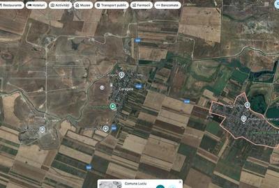 Teren pasune Luciu, cota parte 10000/407492 ; ID: R2766691 - 6