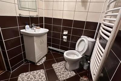 Vila de inchiriat aproape de Targu-Jiu - 6