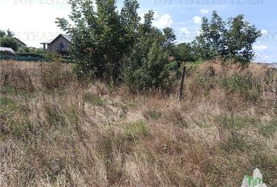 Teren intravilan in localitatea Cornetu cu deschidere mare, ideal pentru dezvolt - 9