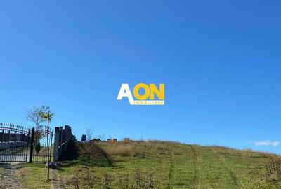 Teren Construcții intravilan de 7600 mp, în Pâclișa - 2