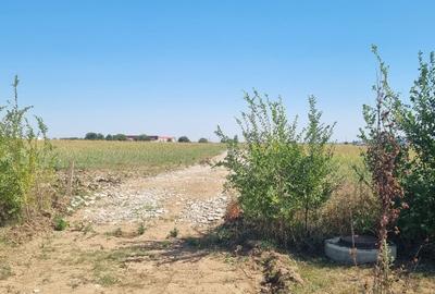 Teren intravilan Balotesti, Complex Good Afternoong - 10