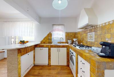 Comision 0 | Vila cu 7 camere | 1734 mp teren | Colonia 1 Mai | Vulcan - 3