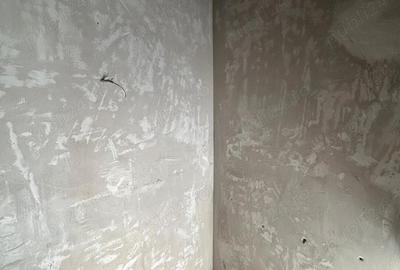 Duplex cu 4 camere, zona Tauti - 3