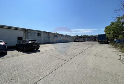 Teren | Platformă industrială 35.000 mp, Chiajna Centura Ilfov - 3