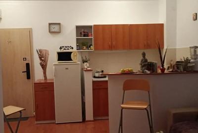 Apartament 2 Camere Paraul Rece Predeal - 3