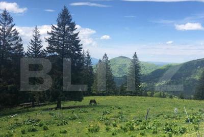 De vanzare, teren intravilan 5.500mp, Predeal De vanzare, teren intravilan 5.500mp, Predeal - 1