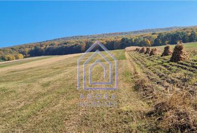 Teren de 3600 mp, în Dolhasca - 3