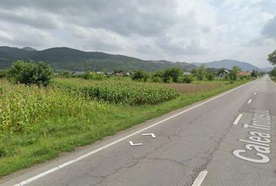 Spațiu comercial, în Dofteana - 1