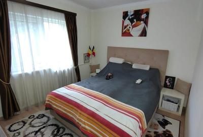 Apartament cochet de 3 camere, etaj 2/4, Grigorescu, Alexandru Vlahuta Apartament cochet de 3 camere, etaj 2/4, Grigorescu, Alexandru Vlahuta - 10