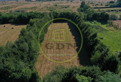 Teren agricol extravilan de 1413 mp, în Exterior Est - 11