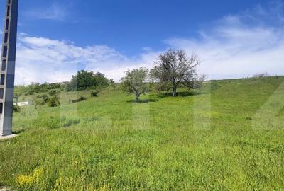 Teren de 15502 mp, în Răzvad - 1