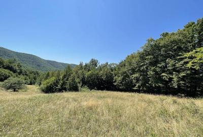 Teren de 45809 mp, în Mădrigești